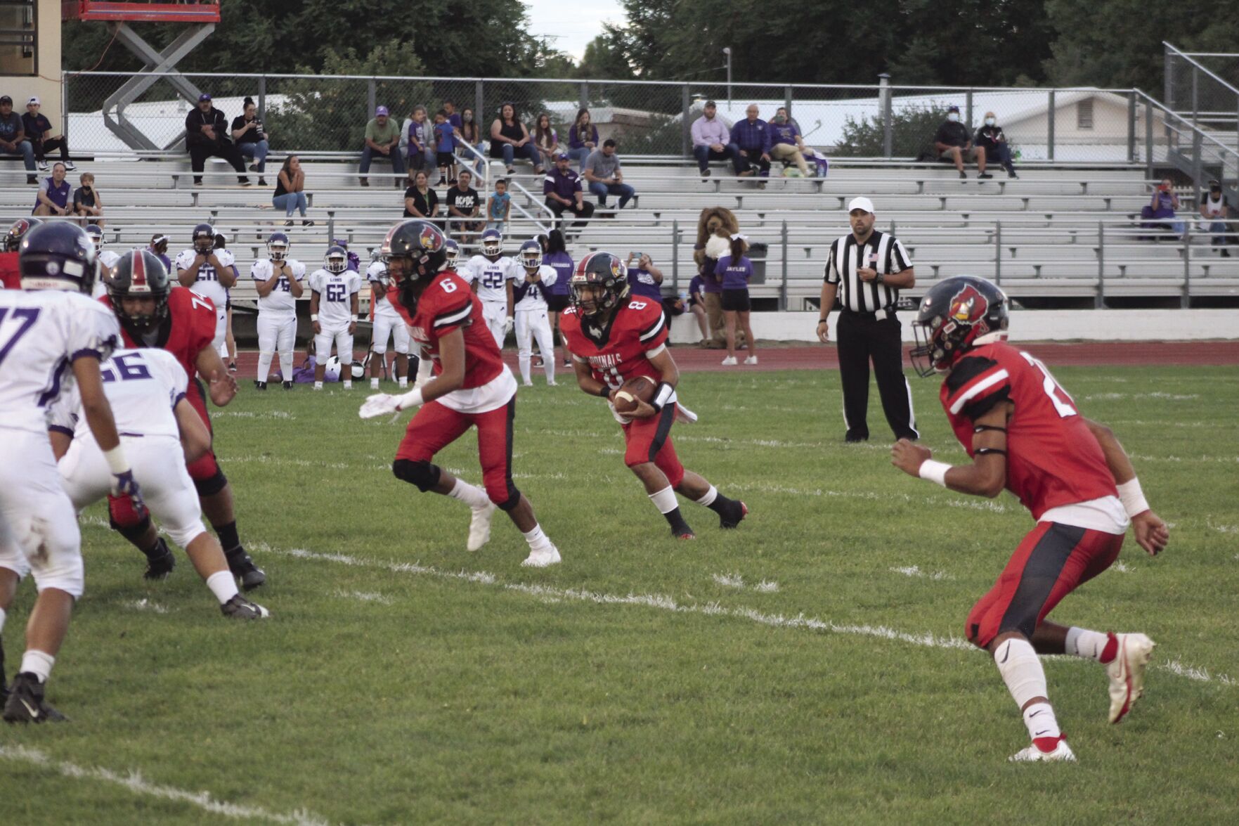 Cardinals backfield